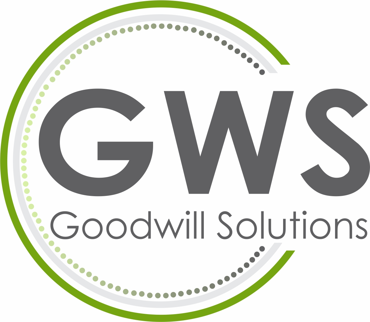 Goodwill Solutions FSP 21394